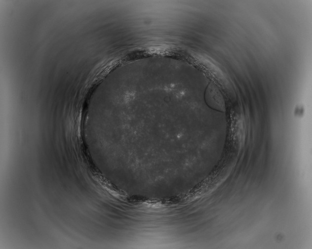 X0000099310502200805021317