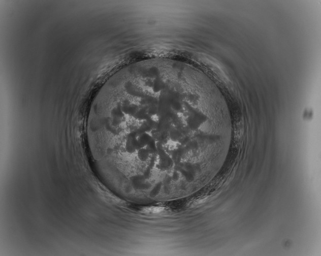X0000099310503200805021317