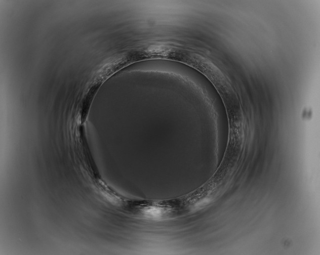 X0000099310504200805021317