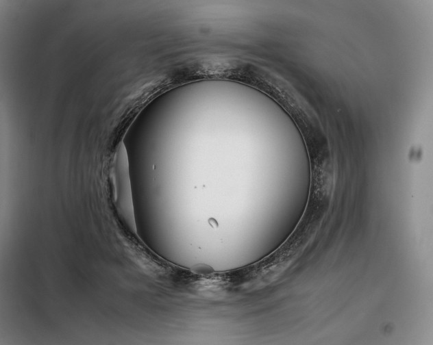 X0000099310505200805021317