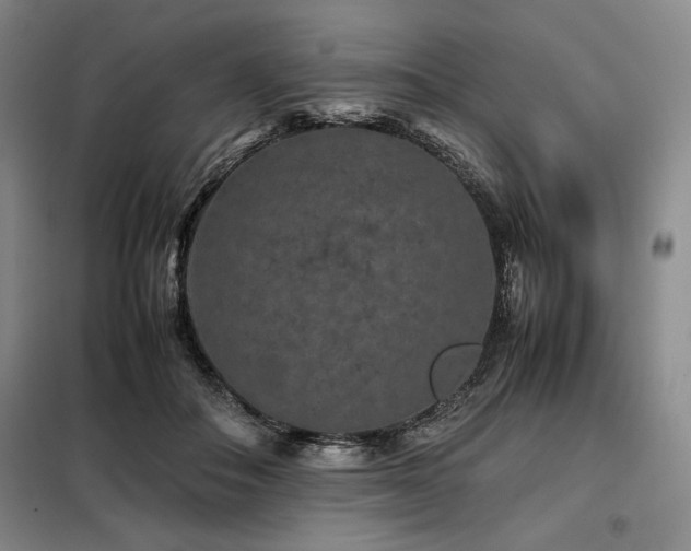 X0000099310506200805021317