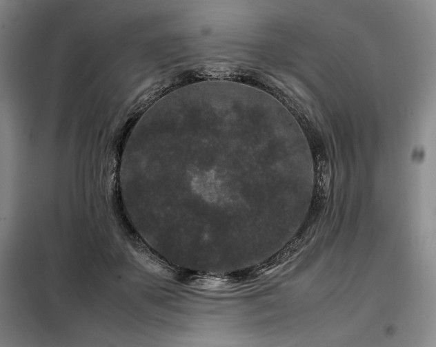 X0000099310507200805021317