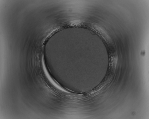 X0000099310508200805021317