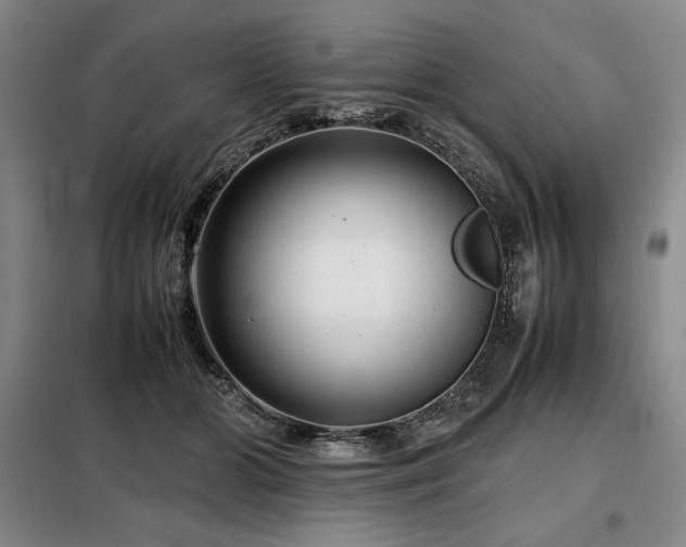 X0000099310510200805021317