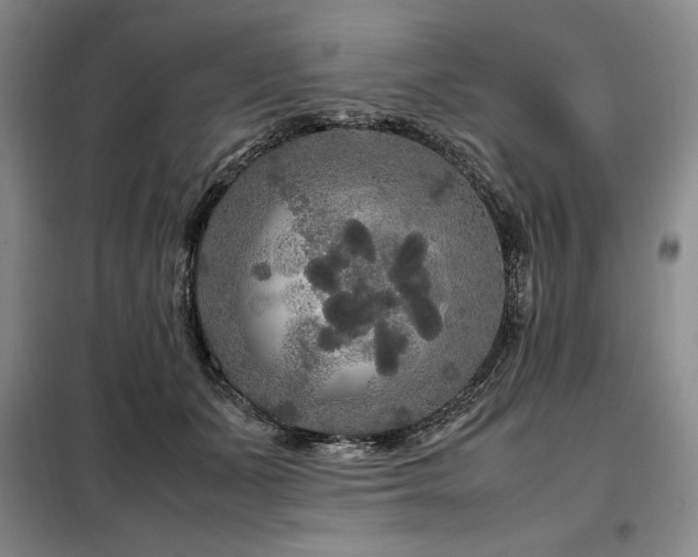 X0000099310511200805021317