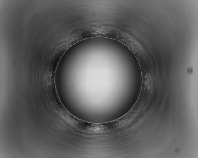 X0000099310514200805021317