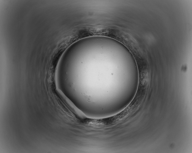 X0000099310515200805021317