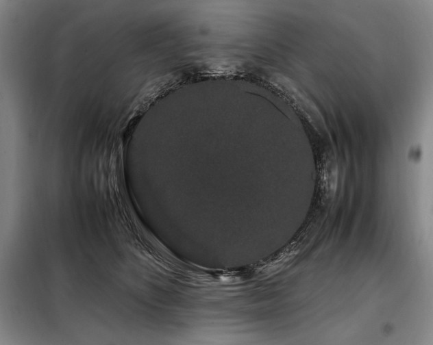 X0000099310516200805021317