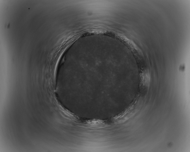 X0000099310517200805021317