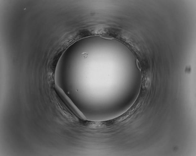 X0000099310521200805021317
