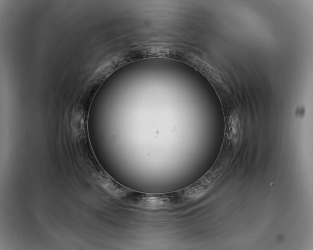 X0000099310522200805021317