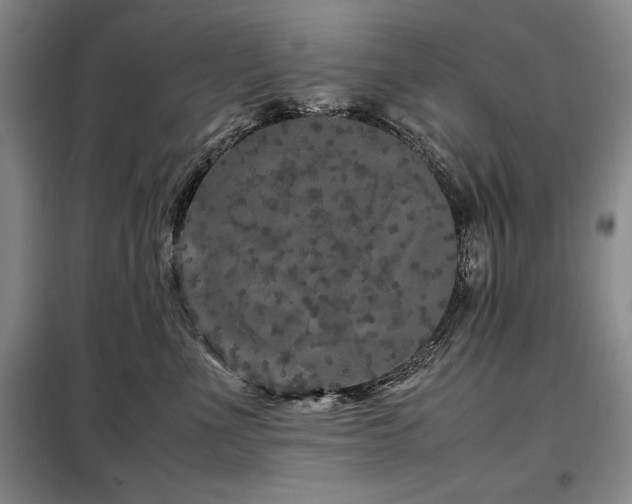 X0000099310523200805021317