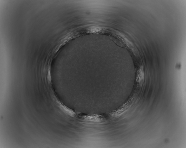 X0000099310524200805021317