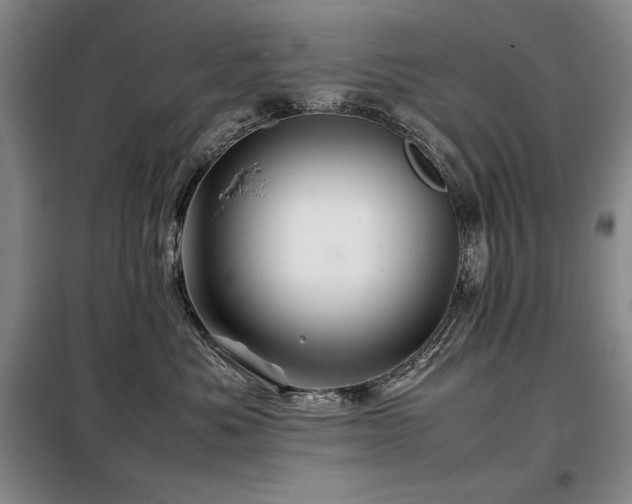 X0000099310525200805021317