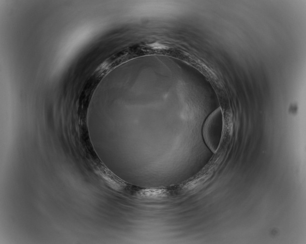X0000099310526200805021317