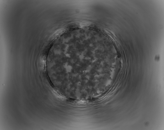 X0000099310527200805021317
