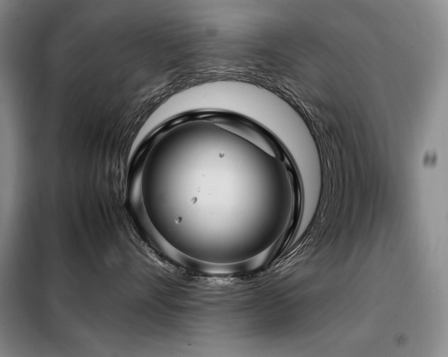 X0000099310528200805021317
