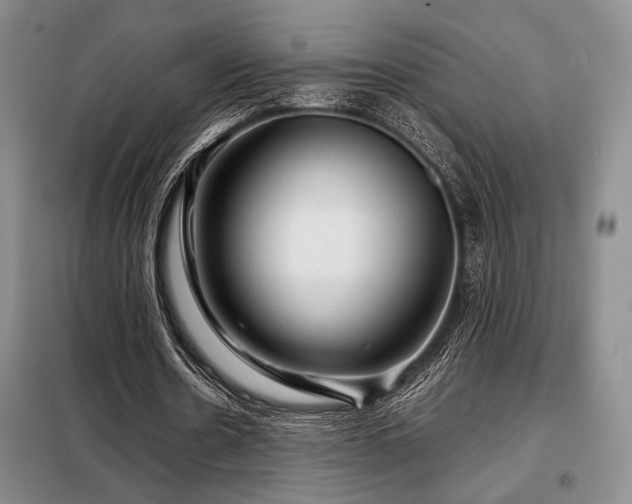 X0000099310530200805021316