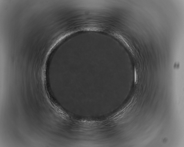 X0000099310531200805021316
