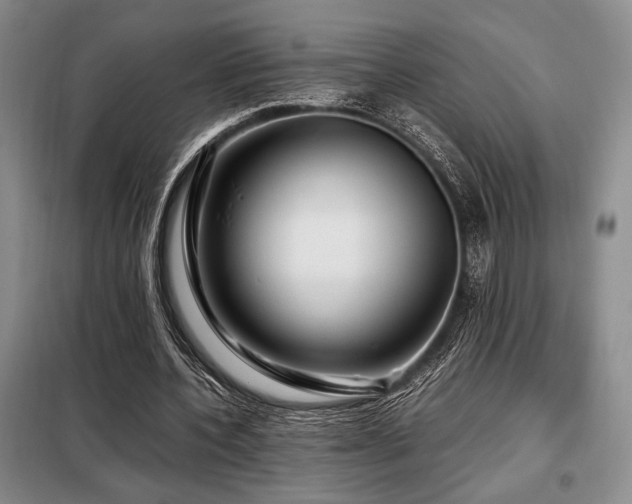 X0000099310532200805021316
