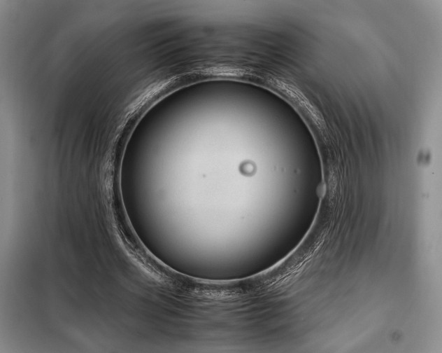 X0000099310533200805021316