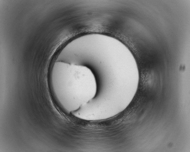 X0000099310534200805021316