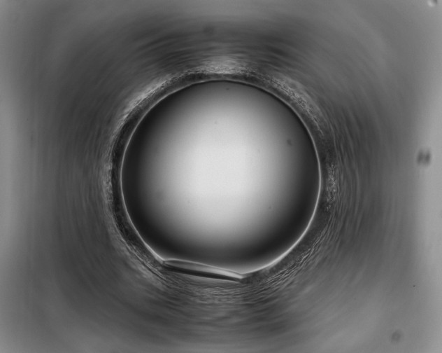 X0000099310535200805021316