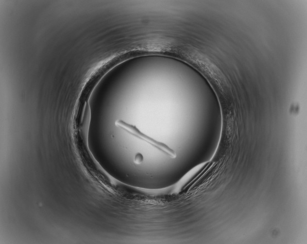 X0000099310536200805021316