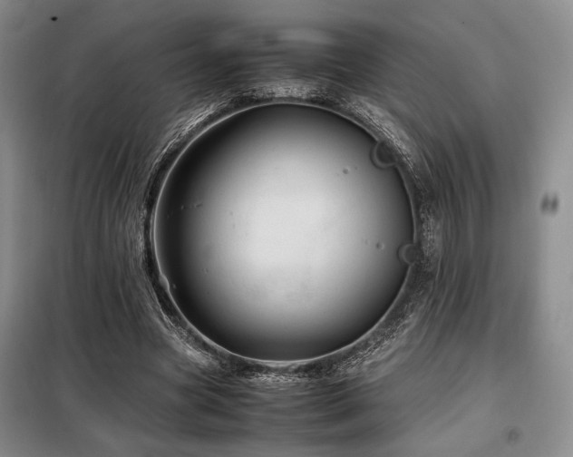 X0000099310537200805021316