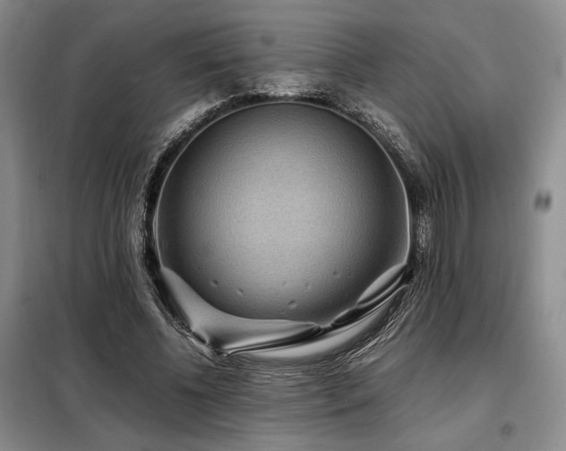 X0000099310540200805021316