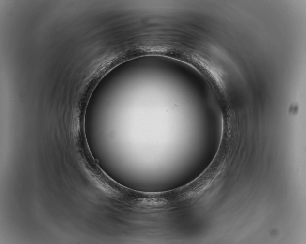 X0000099310541200805021316