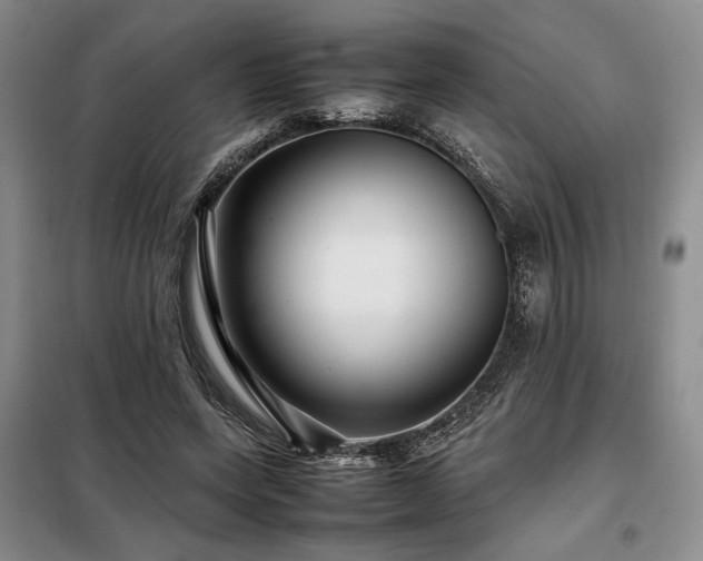 X0000099310543200805021316