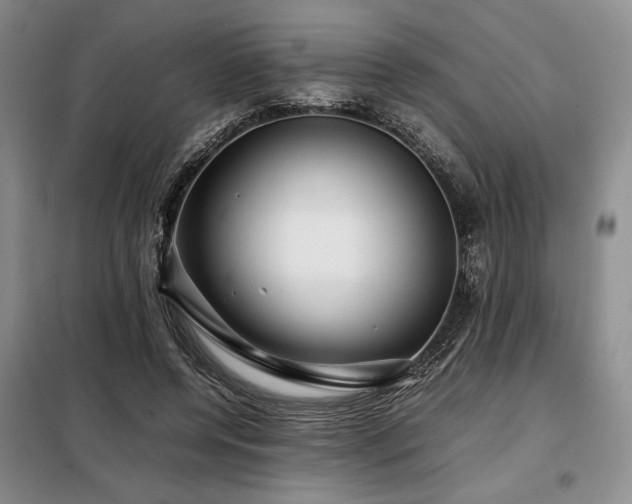 X0000099310544200805021316