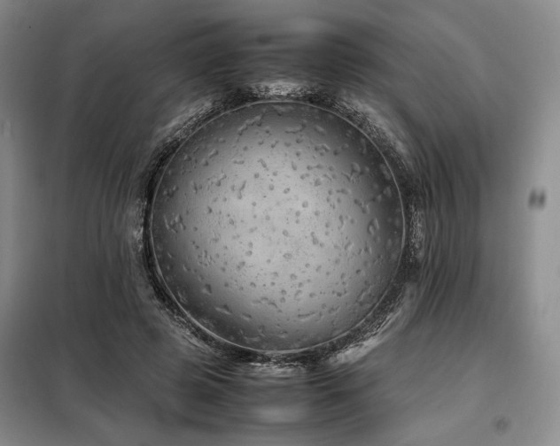 X0000099310545200805021316