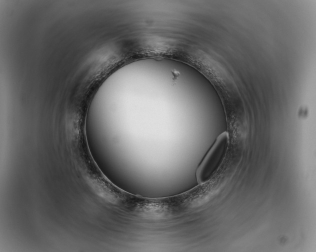 X0000099310546200805021316