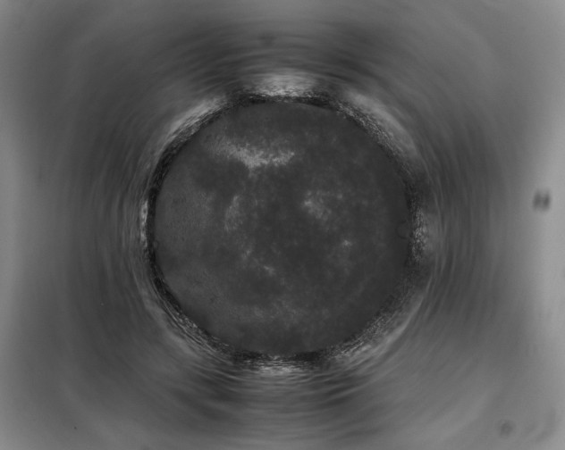 X0000099310547200805021316