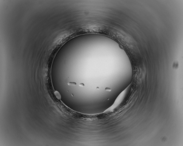 X0000099310548200805021316