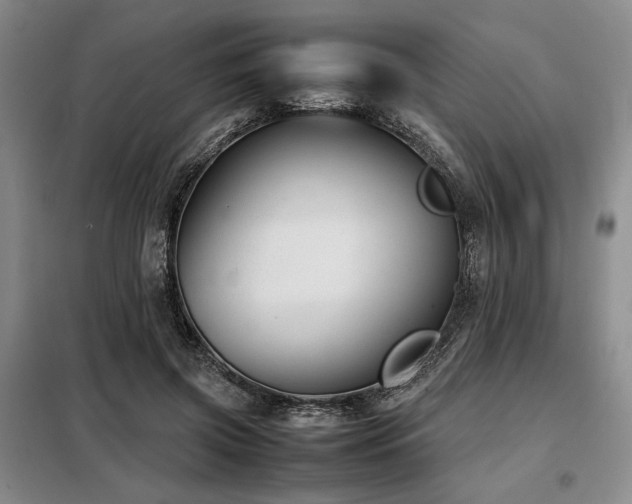 X0000099310549200805021316