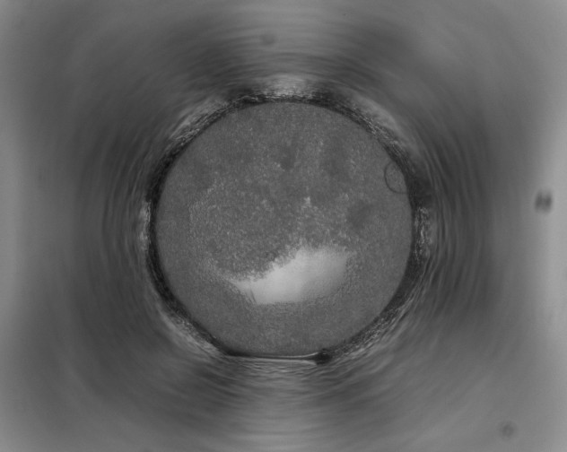 X0000099310550200805021316
