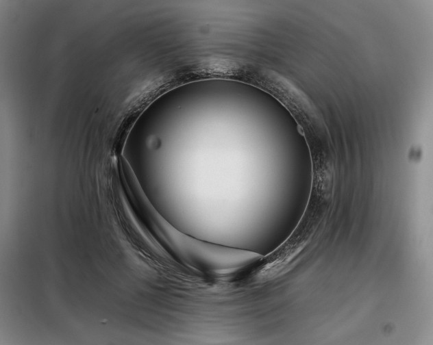X0000099310552200805021316