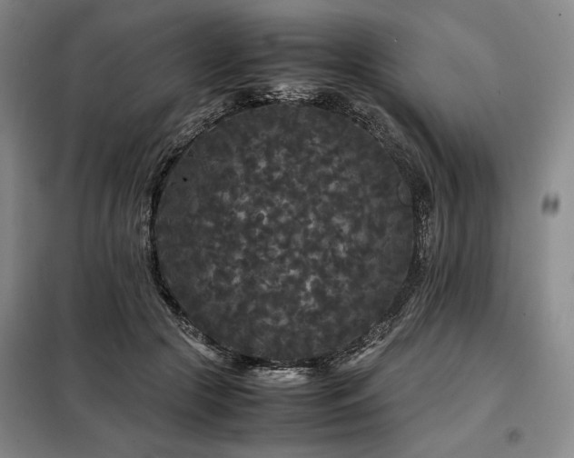 X0000099310553200805021316