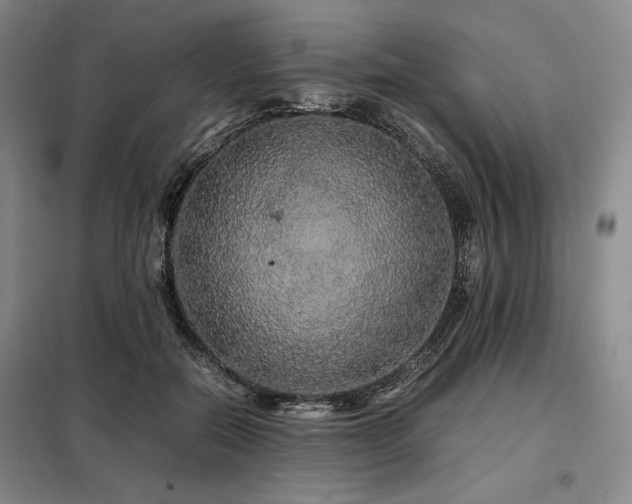X0000099310554200805021316
