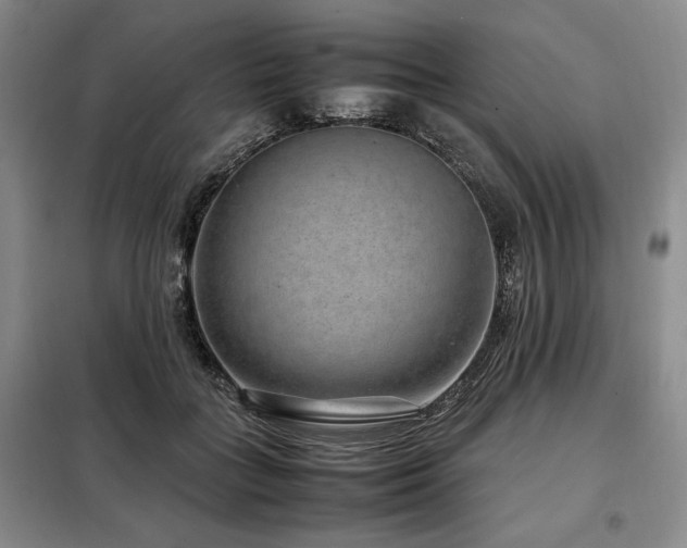 X0000099310555200805021316