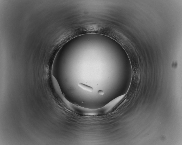 X0000099310556200805021316