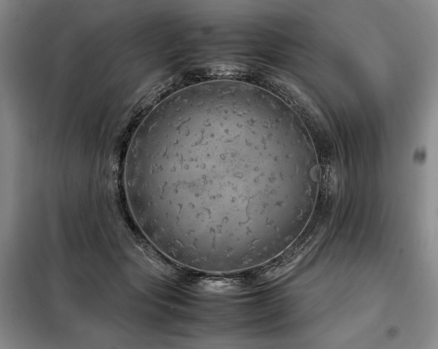 X0000099310557200805021316