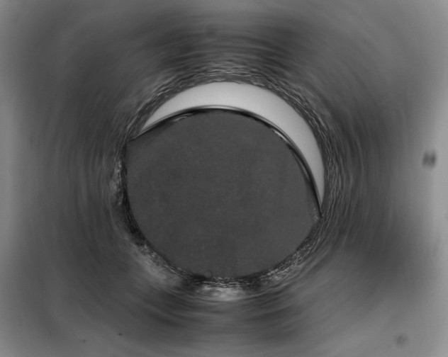 X0000099310559200805021316