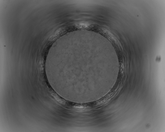 X0000099310561200805021316