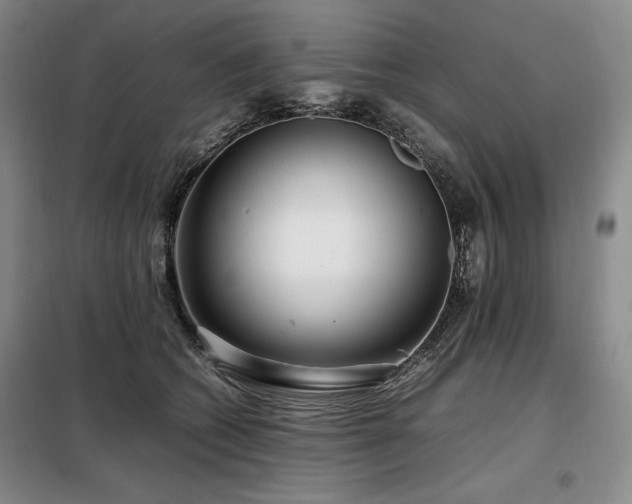 X0000099310562200805021316