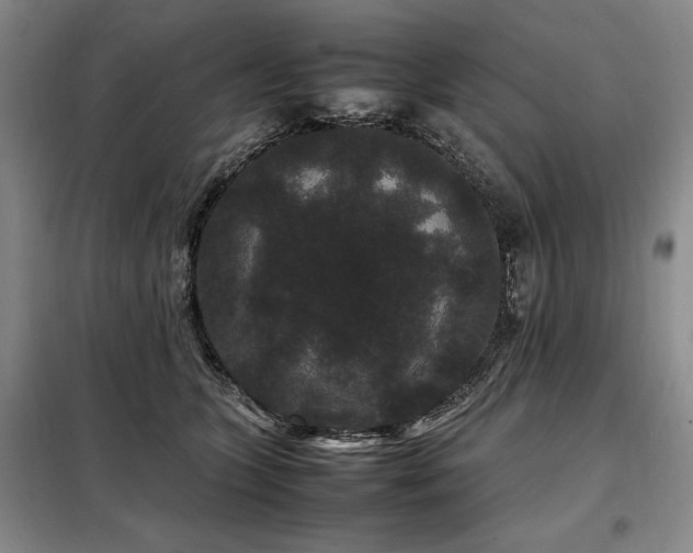 X0000099310563200805021316