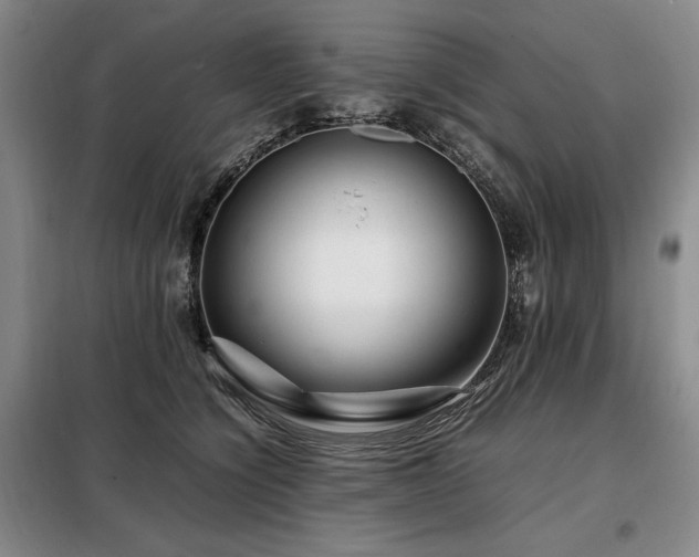 X0000099310564200805021316
